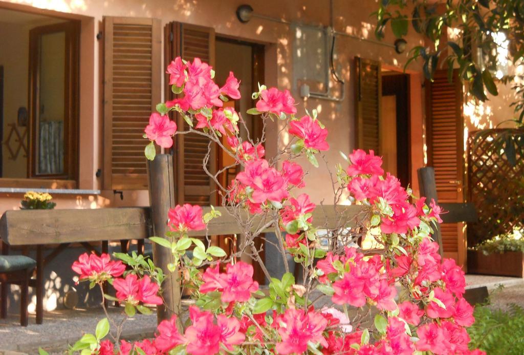 B&B Il Cortile Malpensa カゾラーテ・センピオーネ 部屋 写真