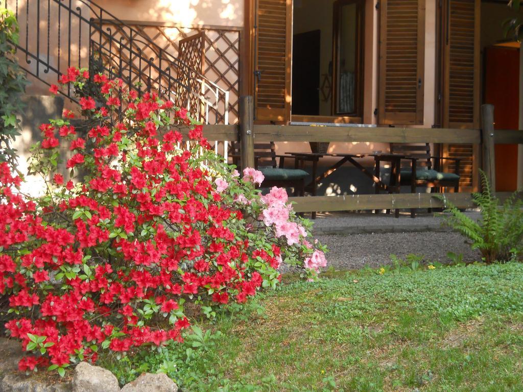 B&B Il Cortile Malpensa カゾラーテ・センピオーネ 部屋 写真